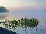 Weller Pond 15 : Vermont Canoe Spring